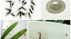 Hogyan lehet gyorsan megszabadulni az otthoni kilátásoktól